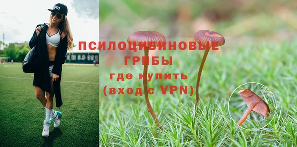 наркотики Богородицк