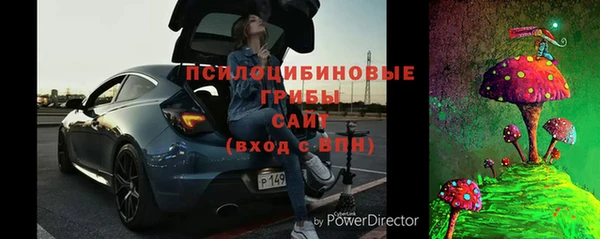 бошки Богданович